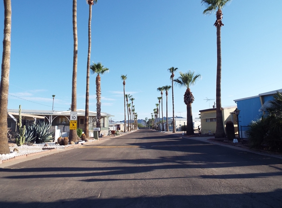 Lamplighter Mobile Village - Apache Junction, AZ