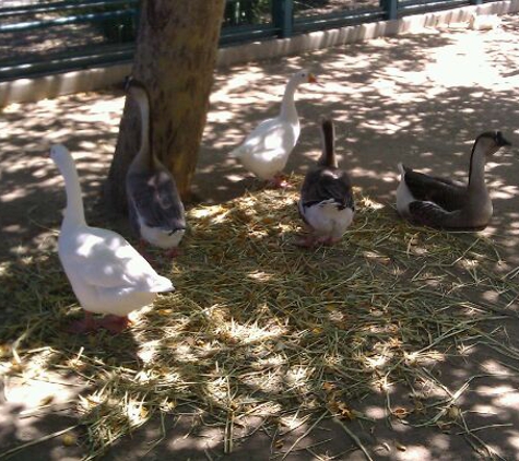 William S. Hart Ranch and Museum - Newhall, CA