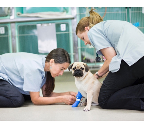 Brisbane Veterinary Emergency and Critical Care Service - Albany Creek, QLD
