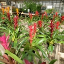 Orchids By Hausermann Inc - Wholesale Plants & Flowers
