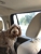 Hot Dog Grooming - Pet Services