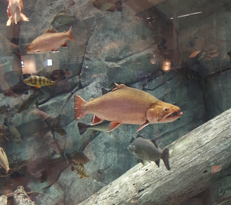 Bass Pro Shops - Atlantic City, NJ