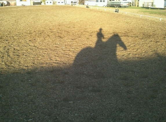 A Rising Star Equestrian Center - Arvada, CO