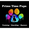 Prime Time Pups gallery