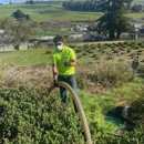Petaluma Septic Services