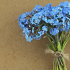 Blue Flowers Org