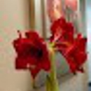 Cary Pediatric Dentistry