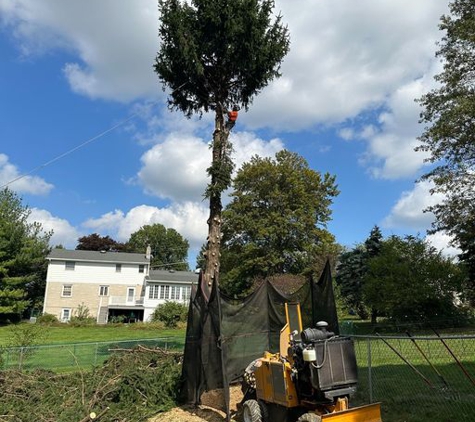 Lewis Burns Tree Service - Felton, PA