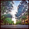 University of Texas College of Nursing gallery