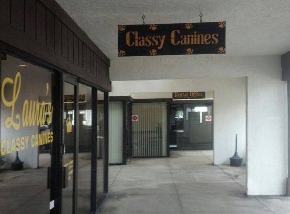 Laura's Classy Canines - Davie, FL