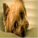 Steinbach Veterinary Hospital - Veterinary Clinics & Hospitals