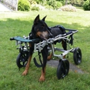 Trusted Journey (formerly Paws & Remember)