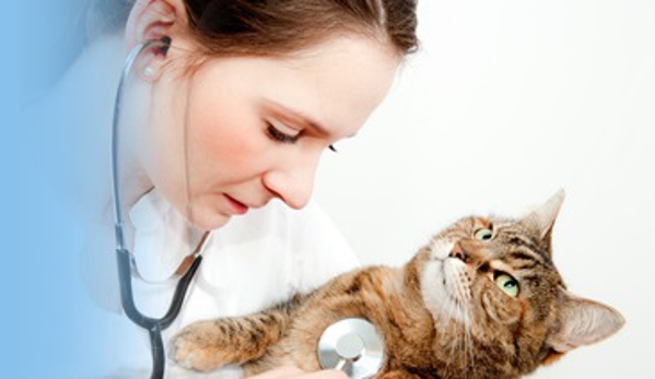 DPC Veterinary Hospital - Davie, FL