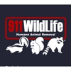 911 Wildlife gallery