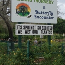Lukas Nursery & Butterfly Encounter - Nurseries-Plants & Trees