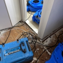 Top To Bottom Renovation