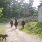 Laurel Ledge Farm