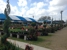 Houston P & G World - Nurseries-Plants & Trees