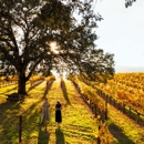 Fairmont Sonoma Mission Inn & Spa - Hotels