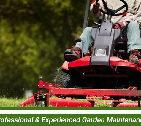 D&L Indoor Plant Hire & Garden Maintenance - Shell Cove, NSW. Professional & Experienced Garden Maintenance