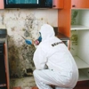 BELFOR Property Restoration gallery