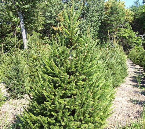 McDowell's Big Fork Nursery - Chattanooga, TN