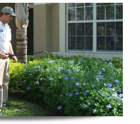 Alliance Pest Control Inc - Lake Worth, FL