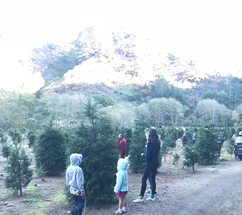 Santa's Tree Farm - Half Moon Bay, CA