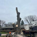 Duck's Tree & Stump Service - Tree Service
