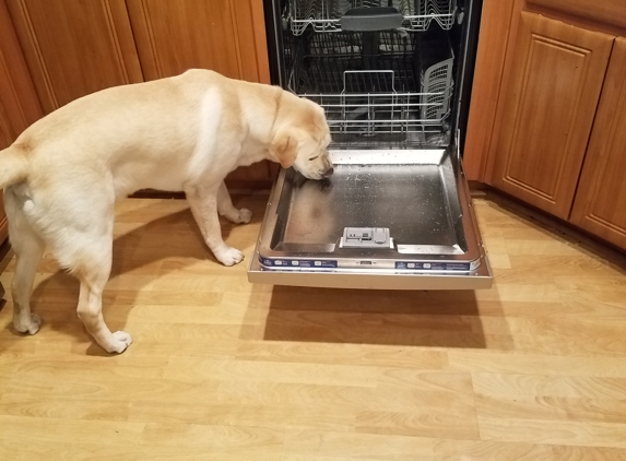 Bay Area Installations - Appliance Installations - Tracy, CA. Even the puppy loves it