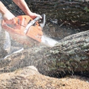 All Season Tree Service Corp - Arborists