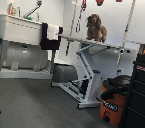 Styleashpaws mobile pet grooming - Davie, FL