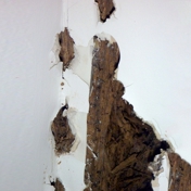 Gallery Image Number 1