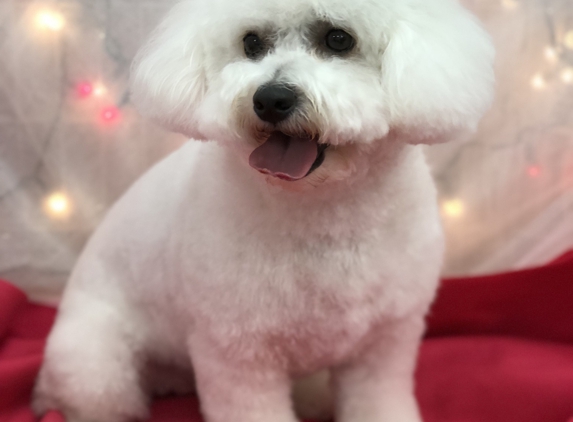 The New York Groomer - Sarasota, FL