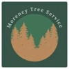 Morency Tree Service gallery