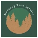 Morency Tree Service - Arborists