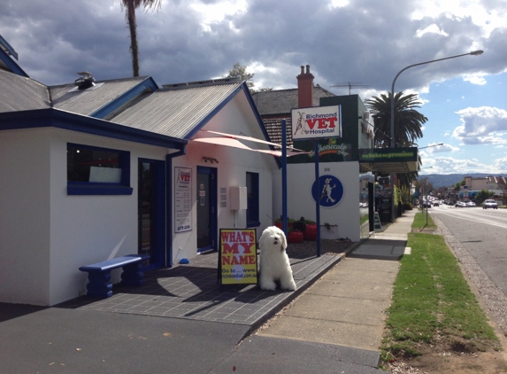 Richmond Veterinary Hospital - Richmond, NSW