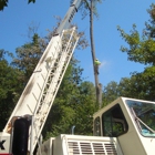 Redfern Tree Service