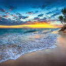 Travel & Tours Digital Marketing - Web Site Design & Services
