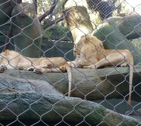 Siegfried & Roy Theater - Las Vegas, NV