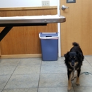 Millville Veterinary Clinic - Pet Boarding & Kennels