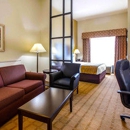 Comfort Suites Byron Warner Robins - Motels
