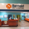 Banfield Pet Hospital gallery