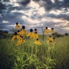 Spring Creek Prairie Audubon Center gallery