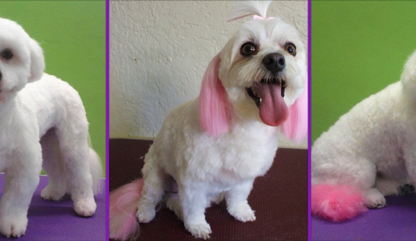 Leanne's Passion Pet Salon - Greystanes, NSW