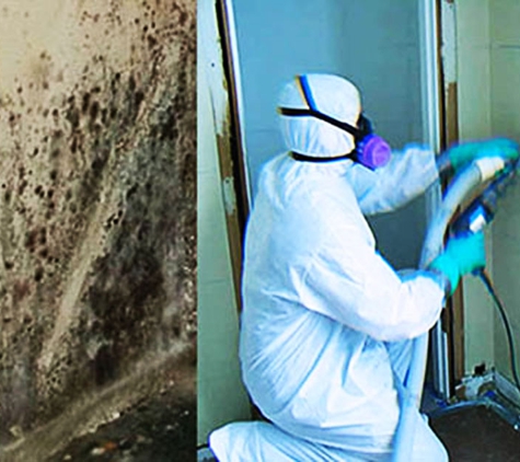 Active Mold Control LLC - Portland, OR