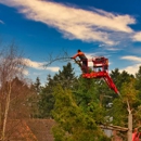 Omega Tree Service LLC - Tree Service