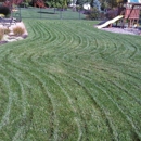 Evan's Lawn Care Service, LLC. - Landscaping & Lawn Services