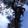 Garrison Tree Services