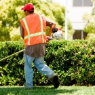 Chop Chop Landscaping in Tucson